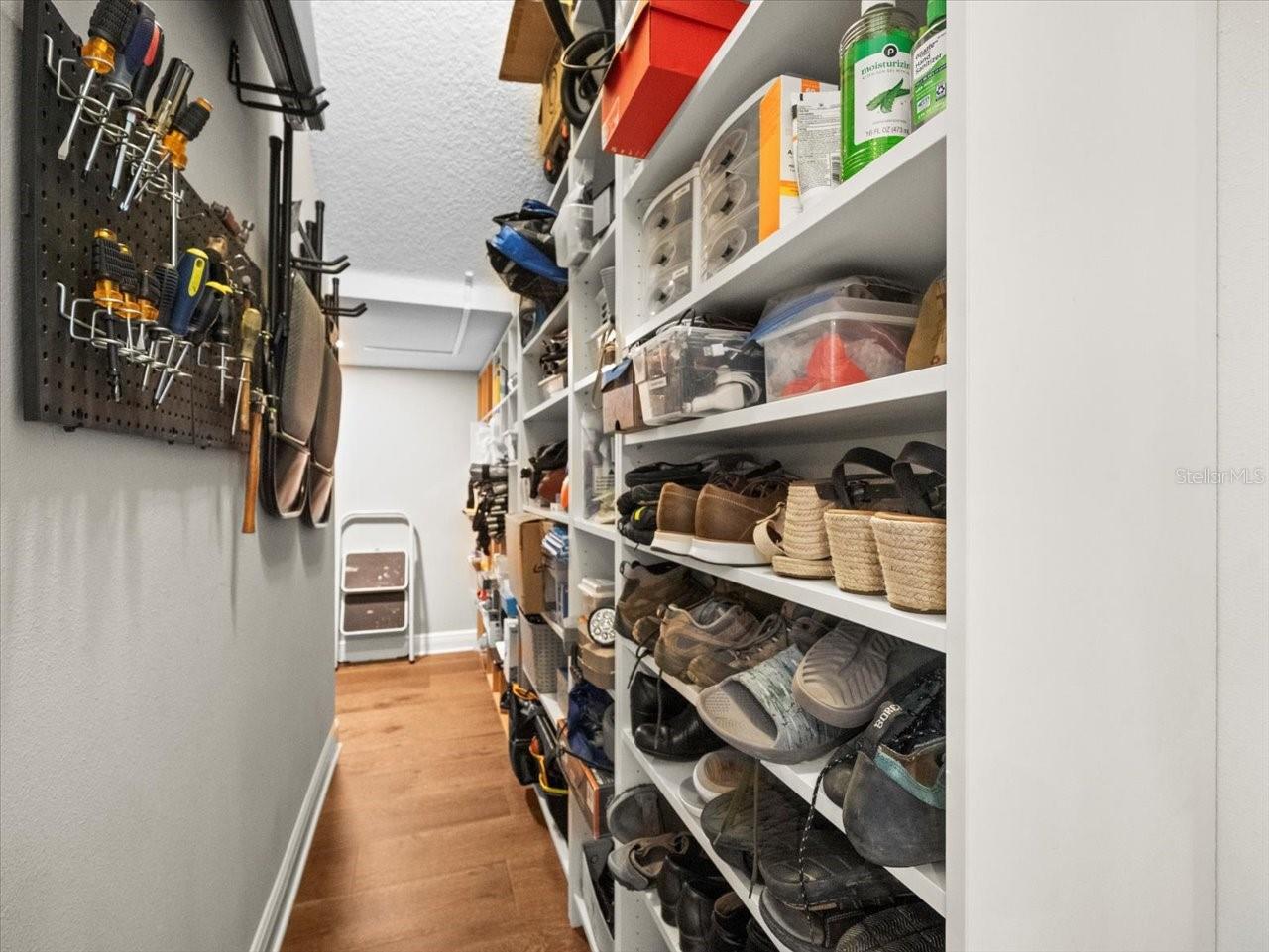 14209 QUINTESSA LN, LITHIA, FL, 33547