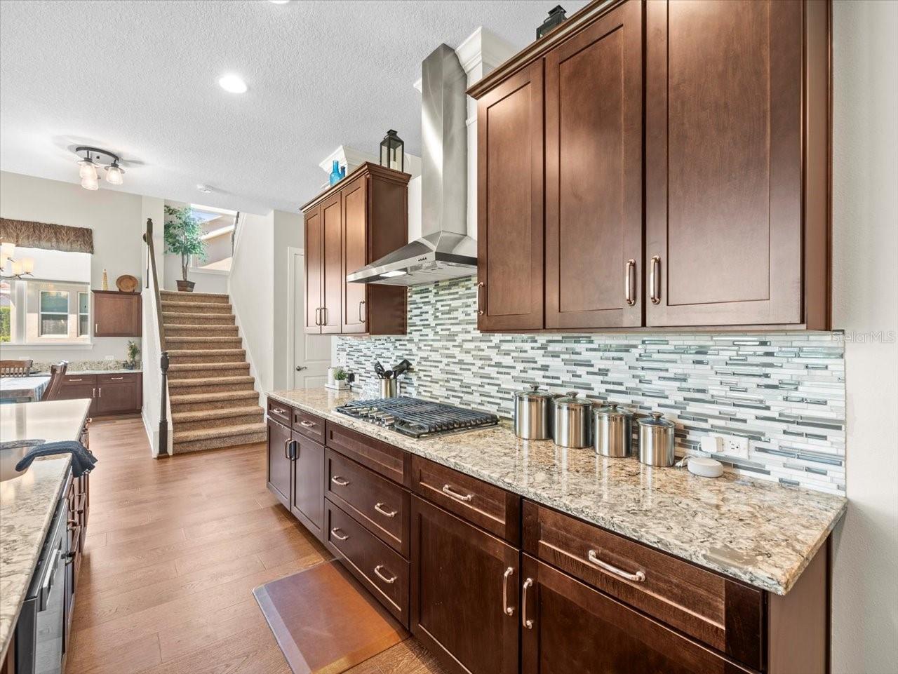 14209 QUINTESSA LN, LITHIA, FL, 33547