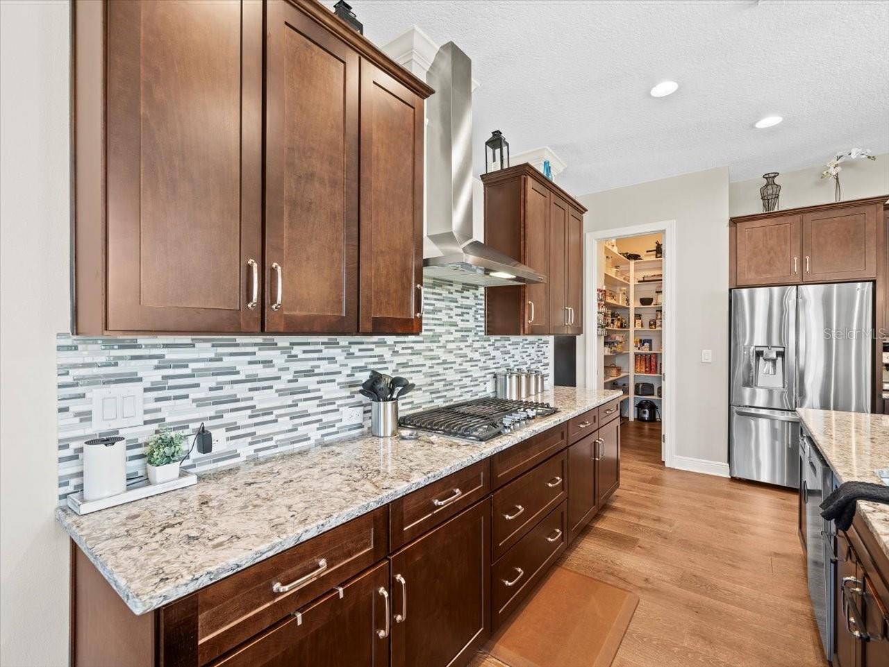 14209 QUINTESSA LN, LITHIA, FL, 33547