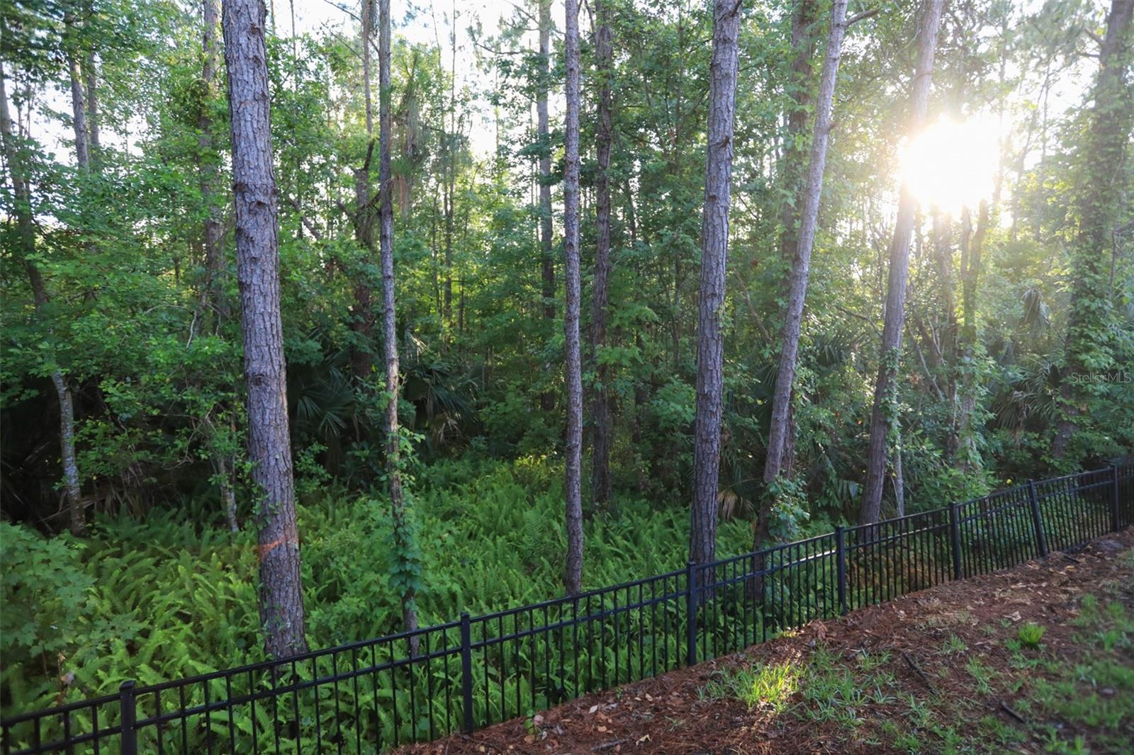 8487 CRYSTAL COVE LOOP, KISSIMMEE, FL, 34747