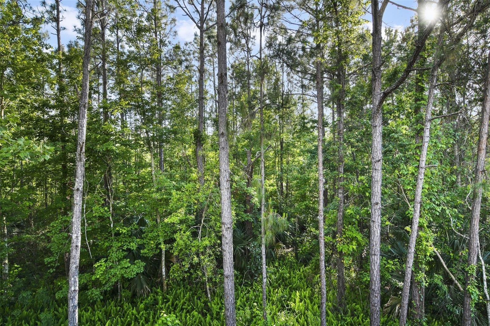 8487 CRYSTAL COVE LOOP, KISSIMMEE, FL, 34747