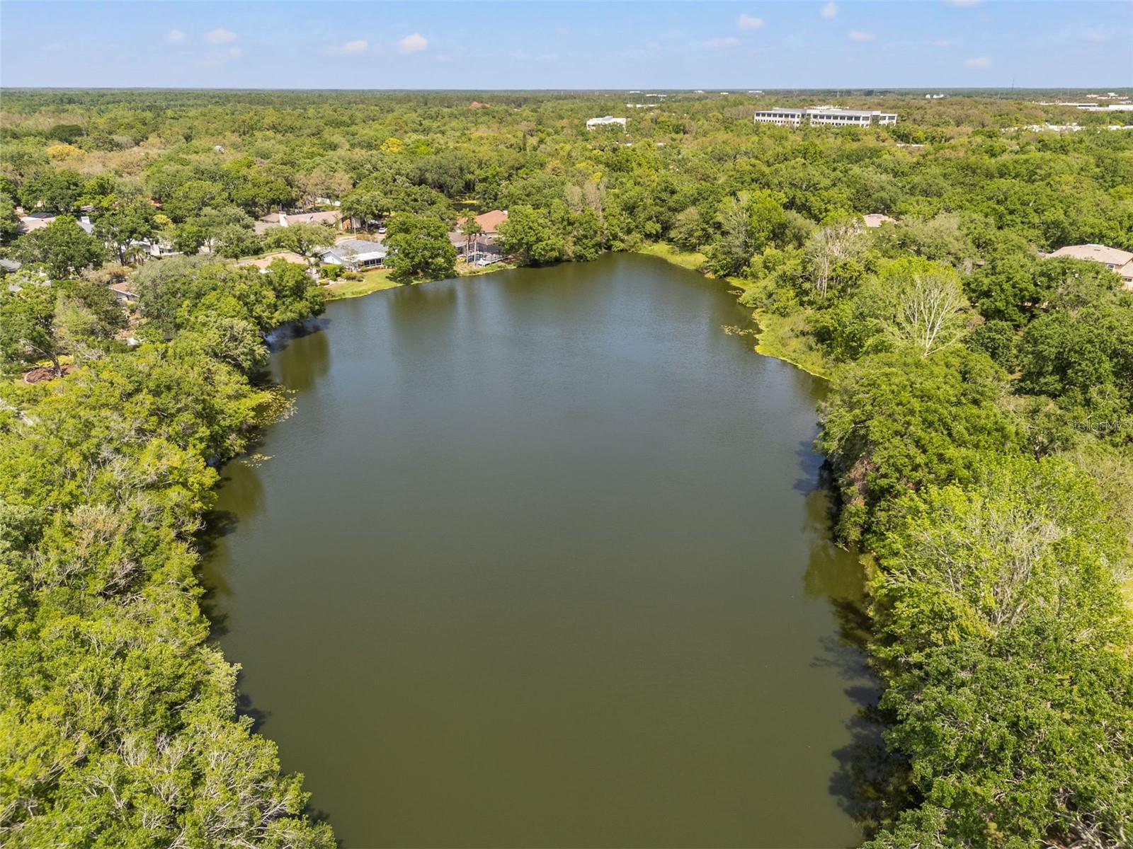 6204 SOARING AVE, TEMPLE TERRACE, FL, 33617