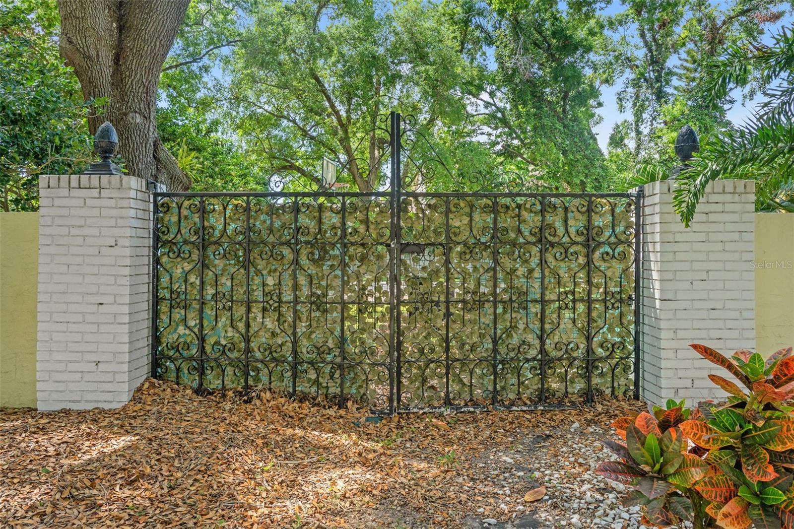 6204 SOARING AVE, TEMPLE TERRACE, FL, 33617