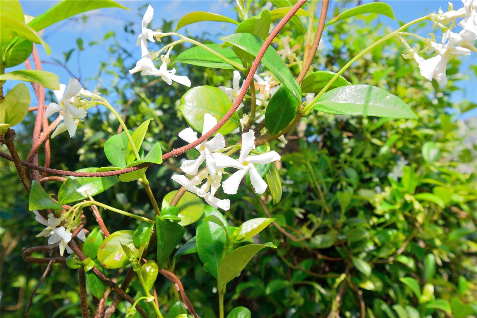 325 N ORLANDO AVE, COCOA BEACH, FL, 32931