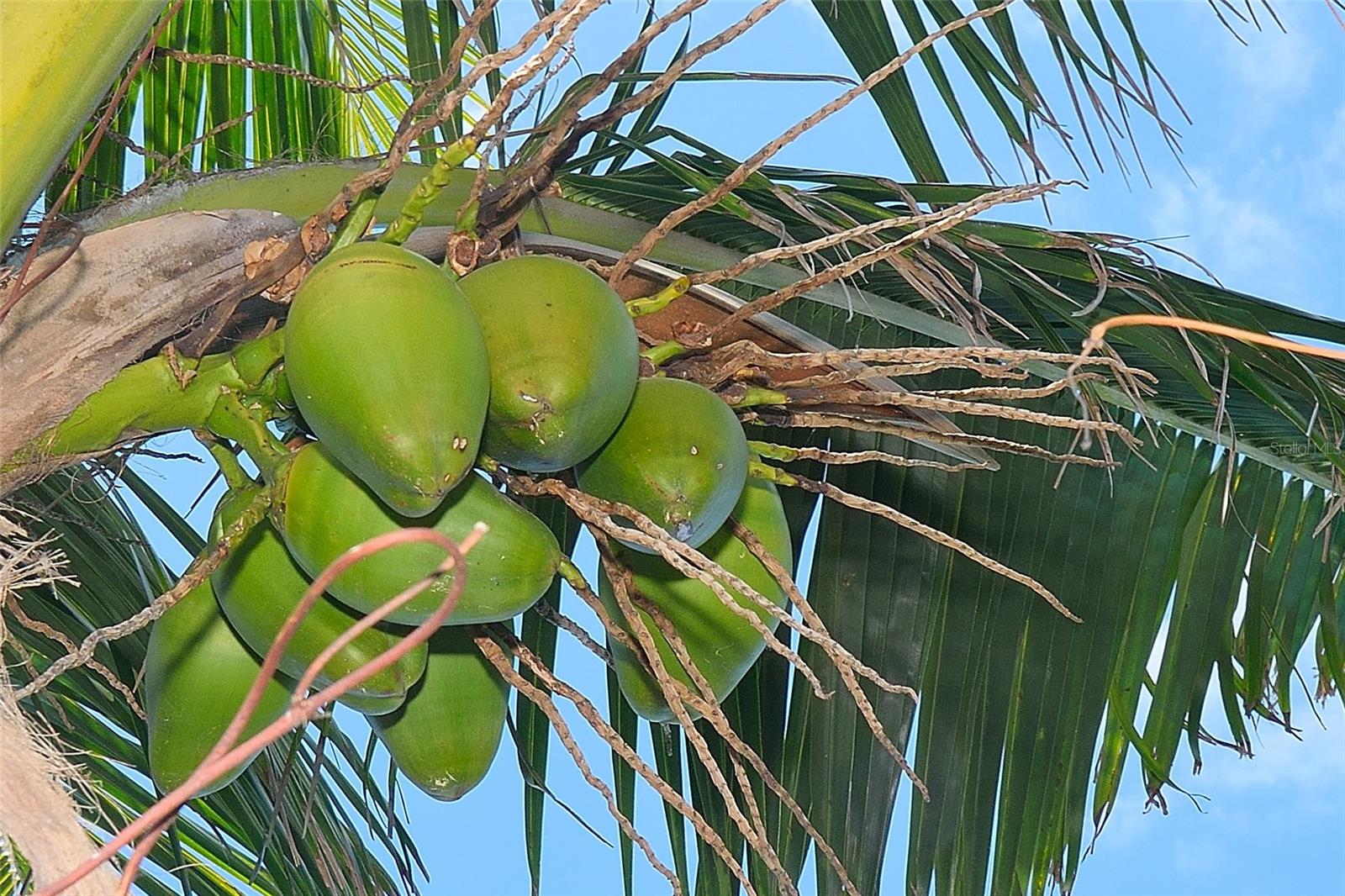 325 N ORLANDO AVE, COCOA BEACH, FL, 32931