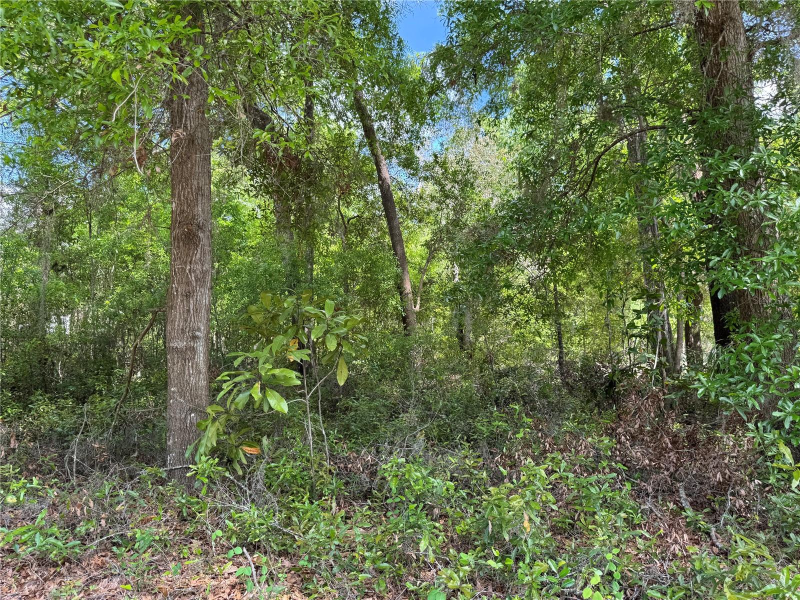 TBD SW CLEARWATER CT, DUNNELLON, FL, 34431