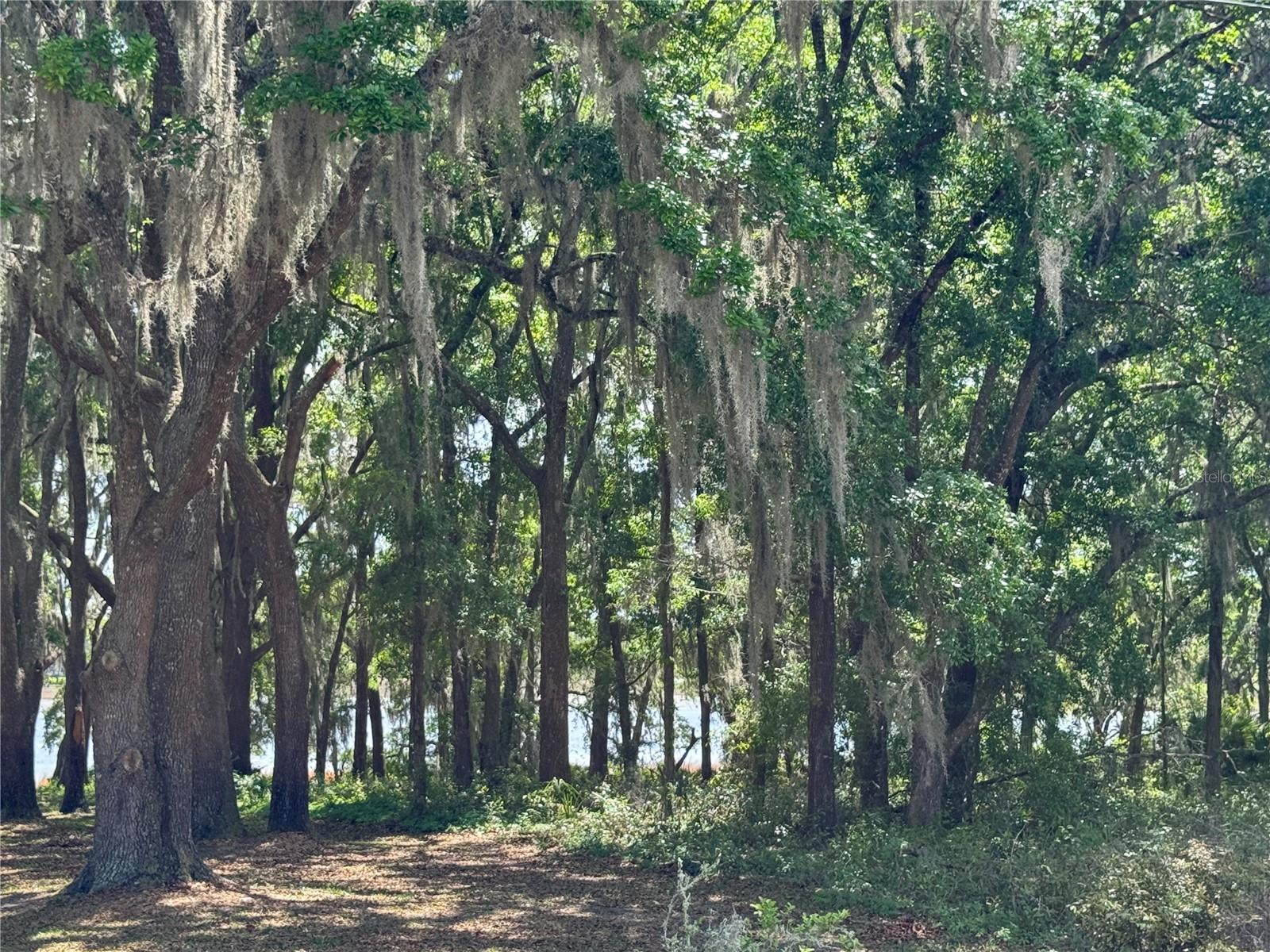 TBD SW CLEARWATER CT, DUNNELLON, FL, 34431