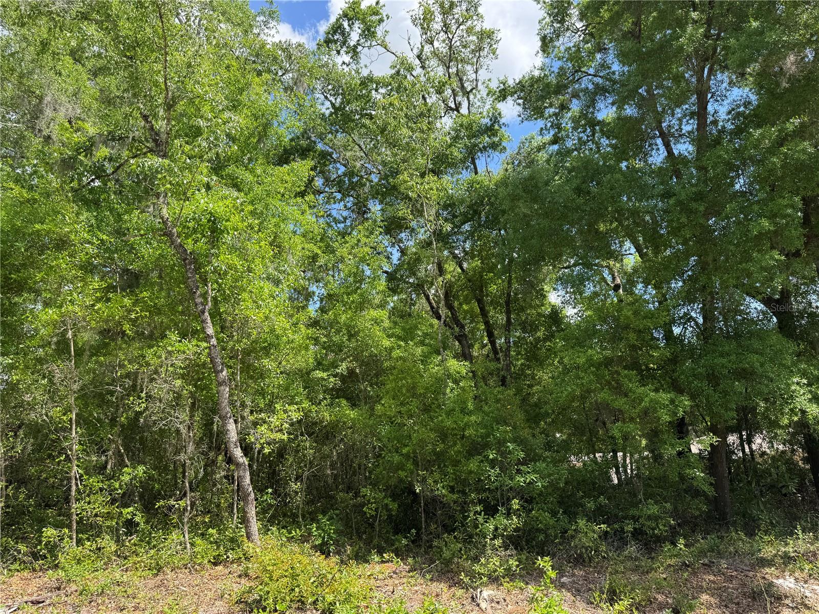 TBD SW CLEARWATER CT, DUNNELLON, FL, 34431