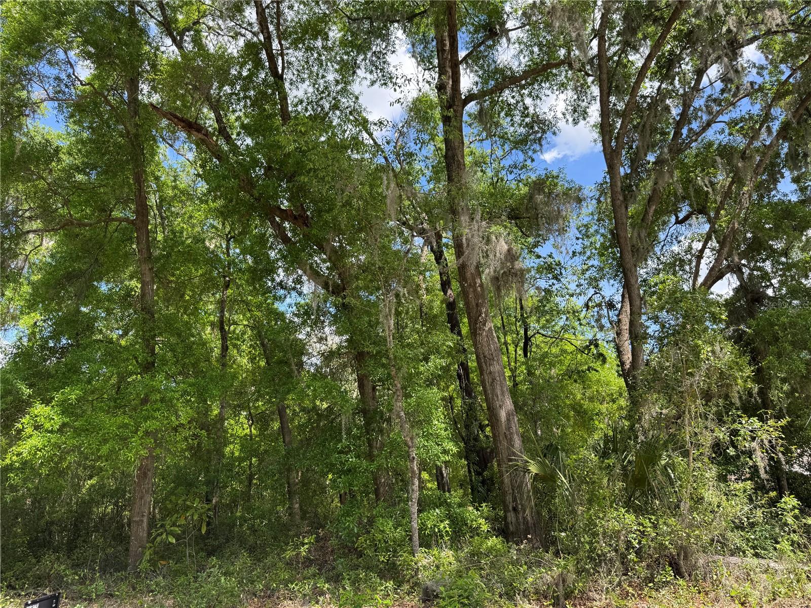 TBD SW CLEARWATER CT, DUNNELLON, FL, 34431