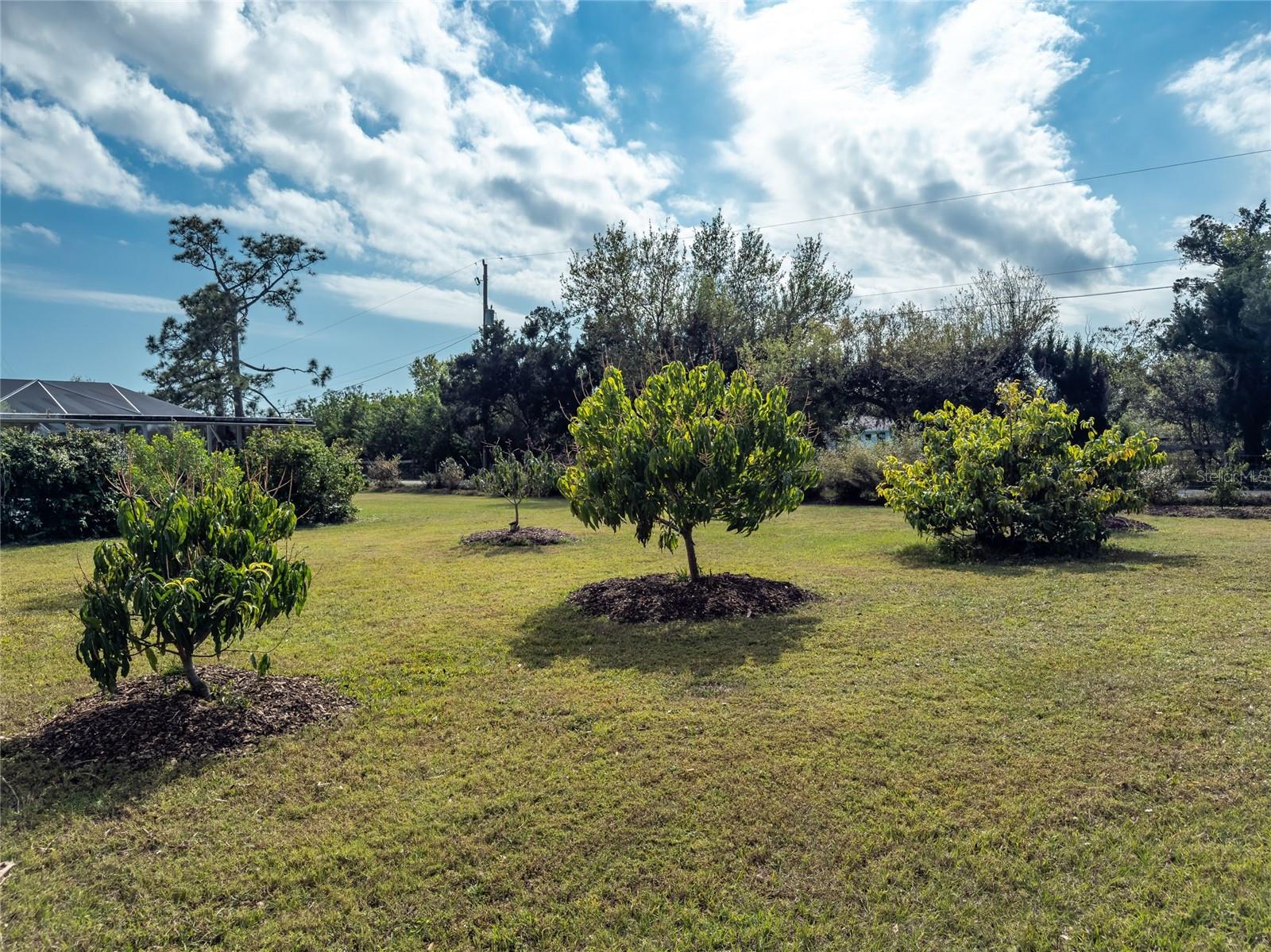24549 NOVA LN, PUNTA GORDA, FL, 33980