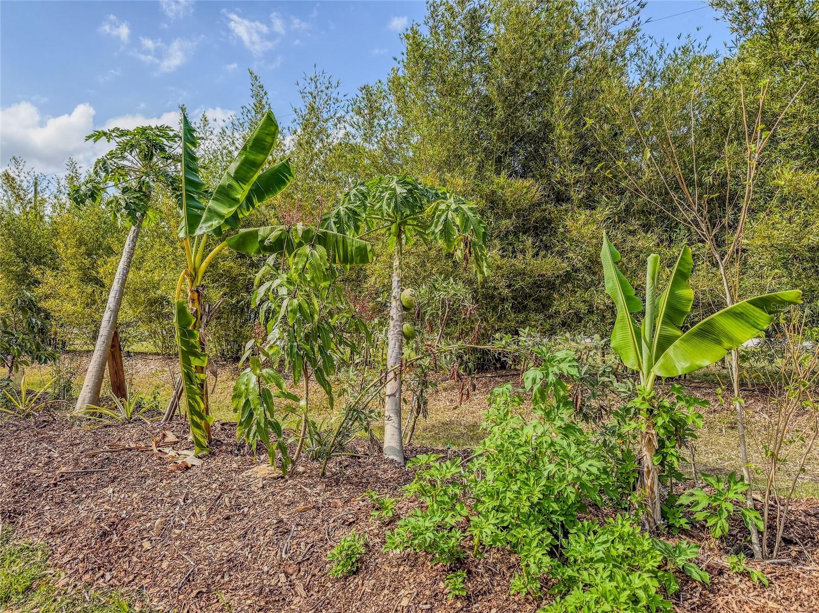 24549 NOVA LN, PUNTA GORDA, FL, 33980