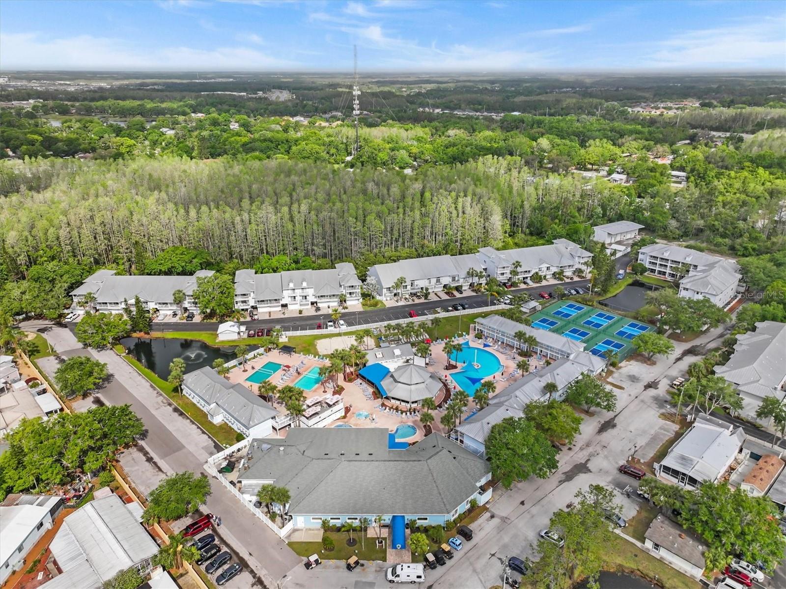 21020 SUNPOINT WAY #202, LUTZ, FL, 33558