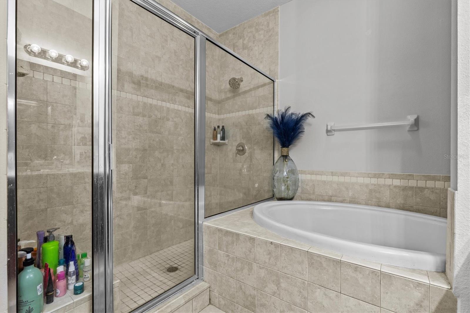 21020 SUNPOINT WAY #202, LUTZ, FL, 33558