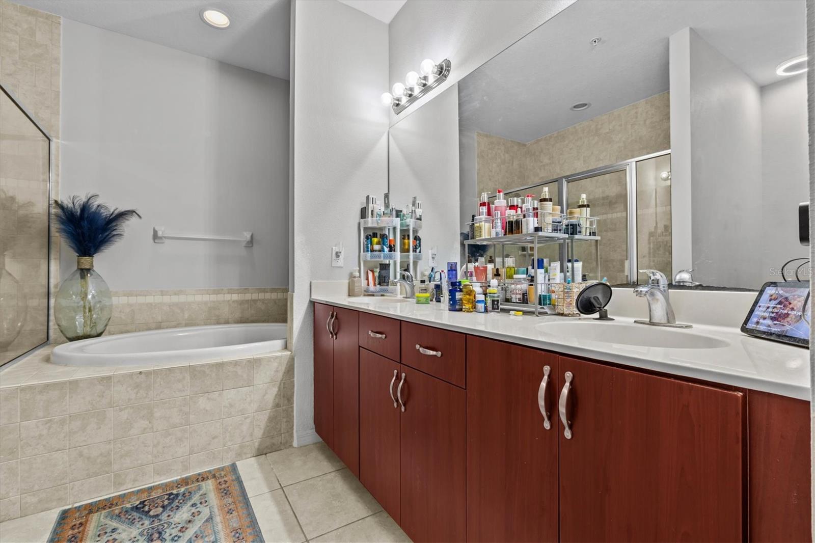 21020 SUNPOINT WAY #202, LUTZ, FL, 33558