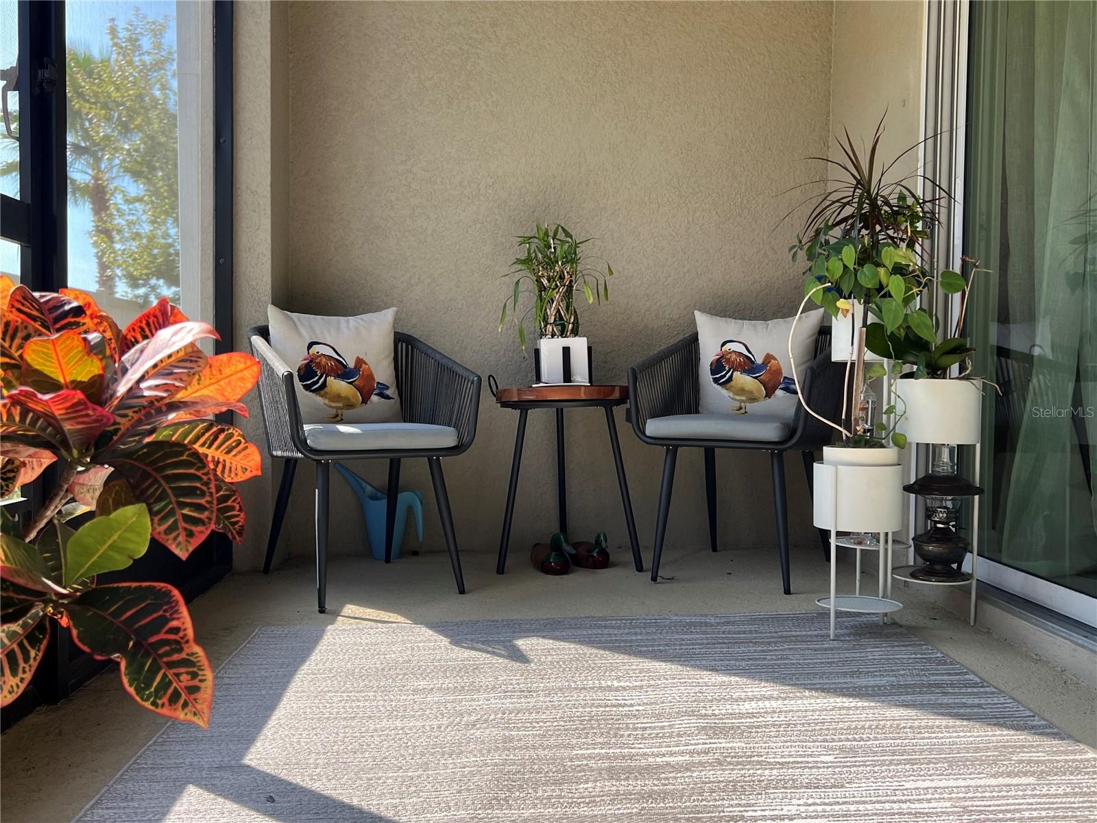 10738 VERAWOOD DR, RIVERVIEW, FL, 33579