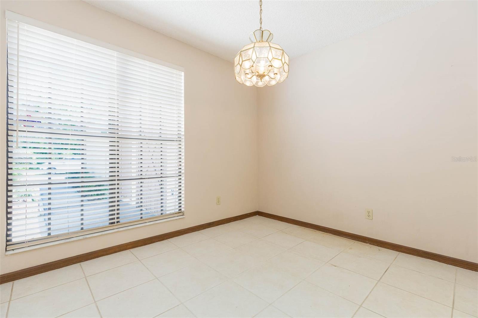 16075 DAWNVIEW DR, TAMPA, FL, 33624