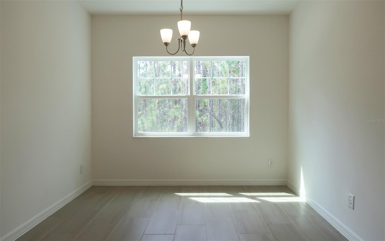 236 GLASS ONION DR, GROVELAND, FL, 34737