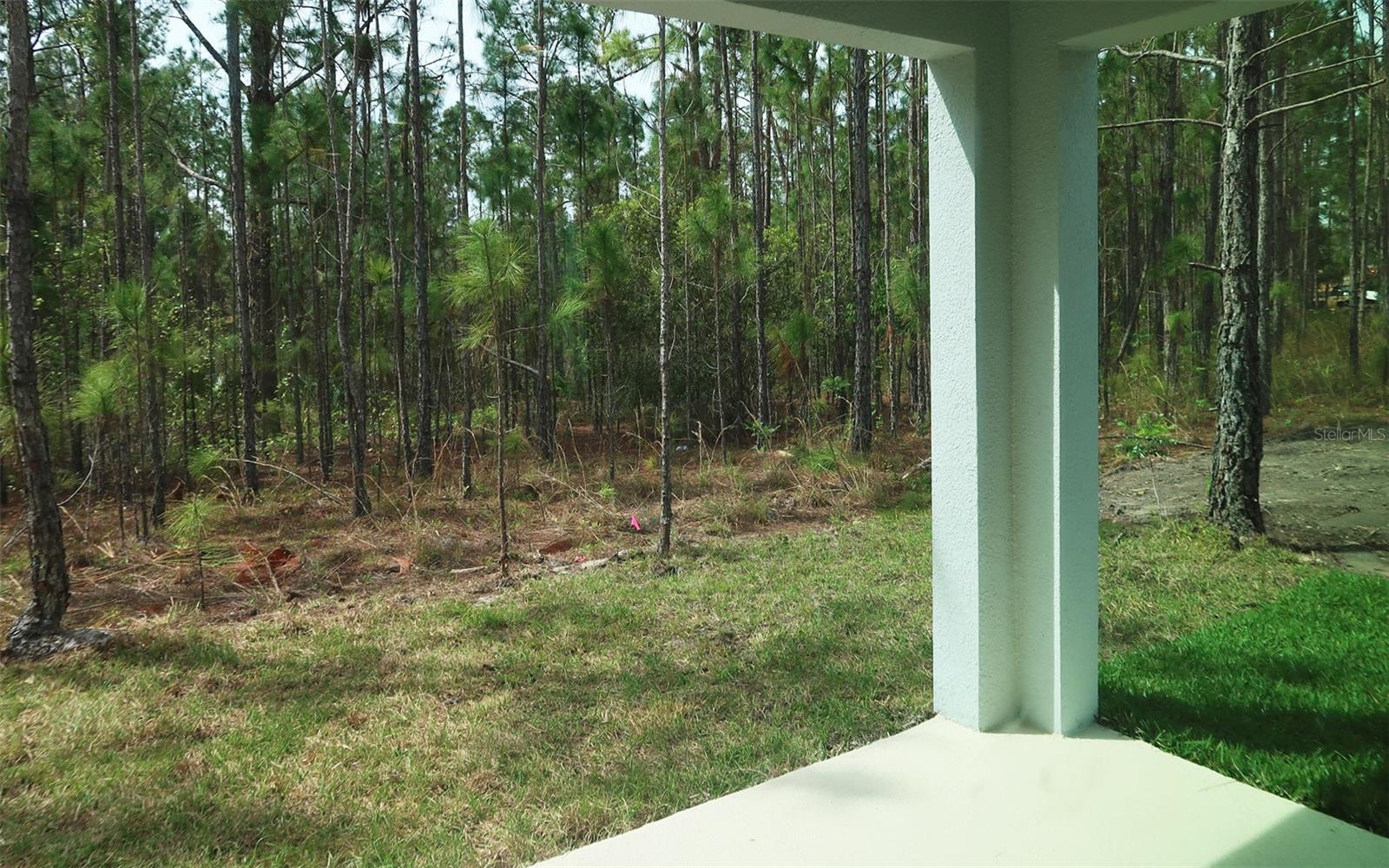 236 GLASS ONION DR, GROVELAND, FL, 34737