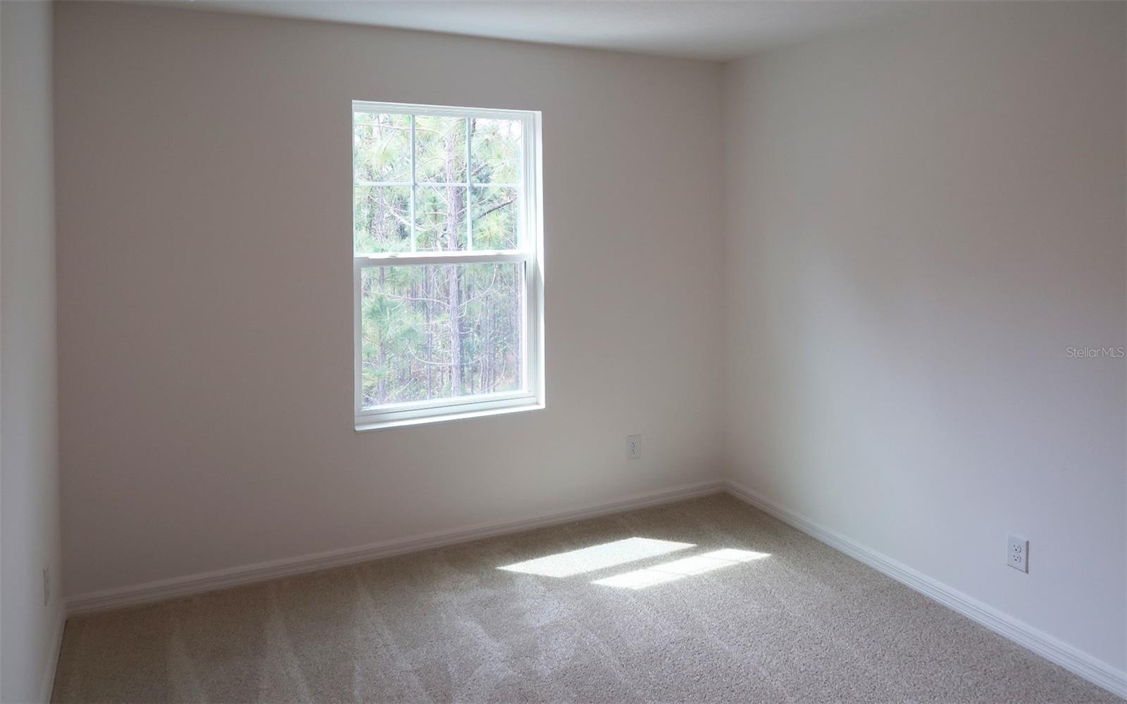 236 GLASS ONION DR, GROVELAND, FL, 34737