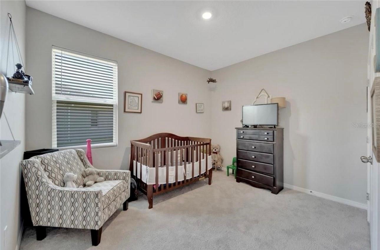 14069 WINEBERRY DR, DADE CITY, FL, 33525