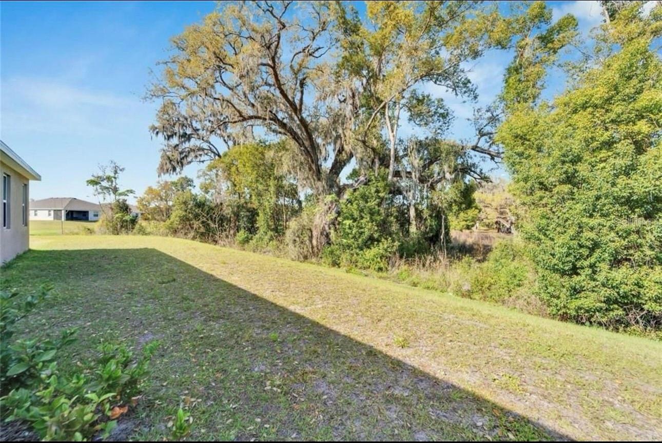 14069 WINEBERRY DR, DADE CITY, FL, 33525
