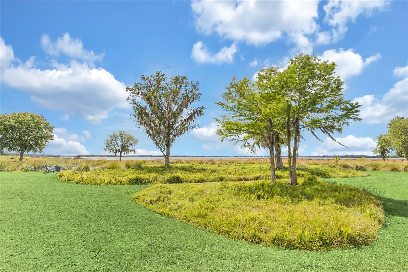 10208 WITTENBERG WAY, ORLANDO, FL, 32832