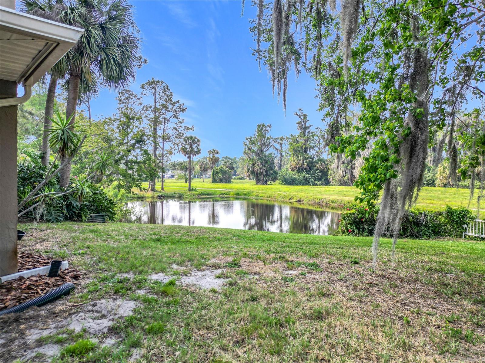 4423 REAL CT, ORLANDO, FL, 32808