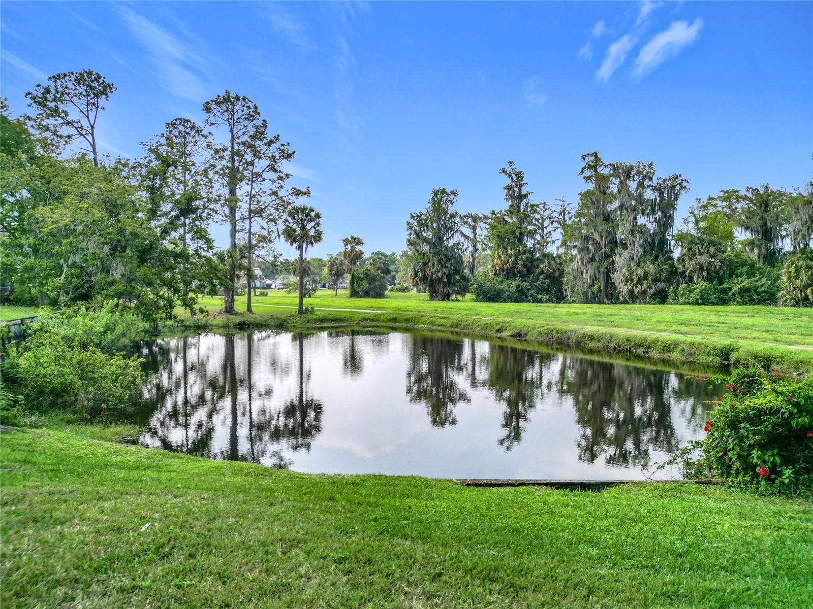 4423 REAL CT, ORLANDO, FL, 32808