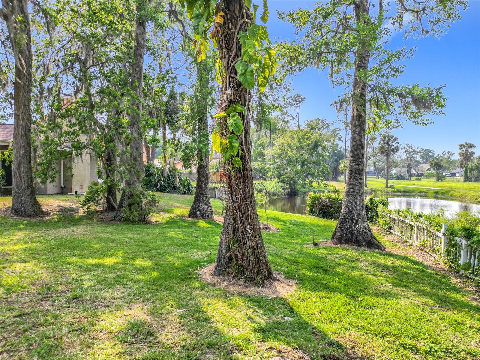 4423 REAL CT, ORLANDO, FL, 32808