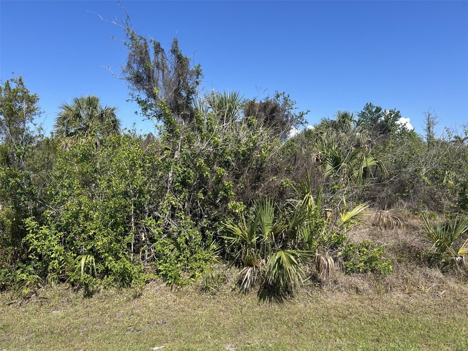 8093 BURWELL CIR, PORT CHARLOTTE, FL, 33981