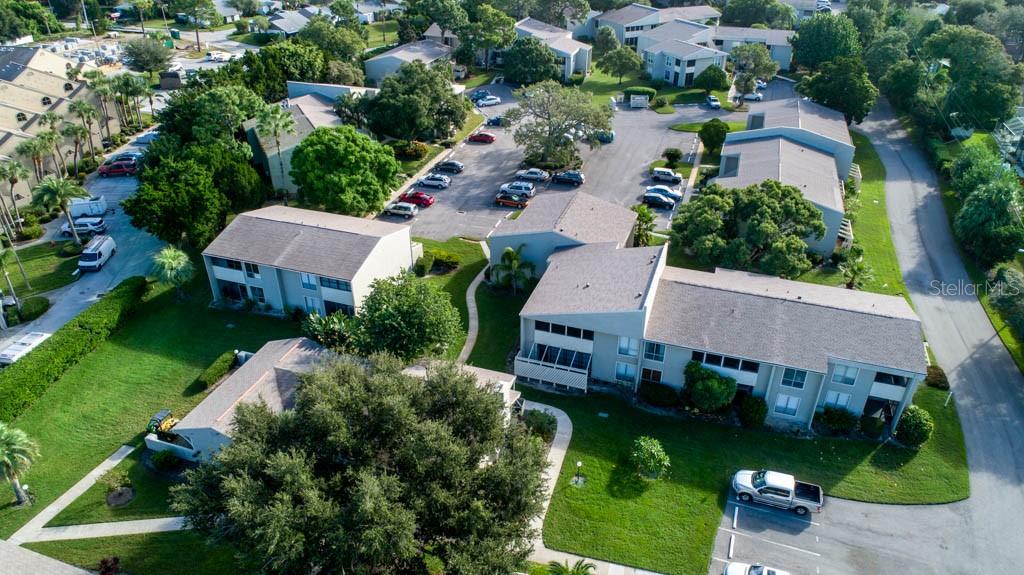423 WINDRUSH BAY DR, TARPON SPRINGS, FL, 34689