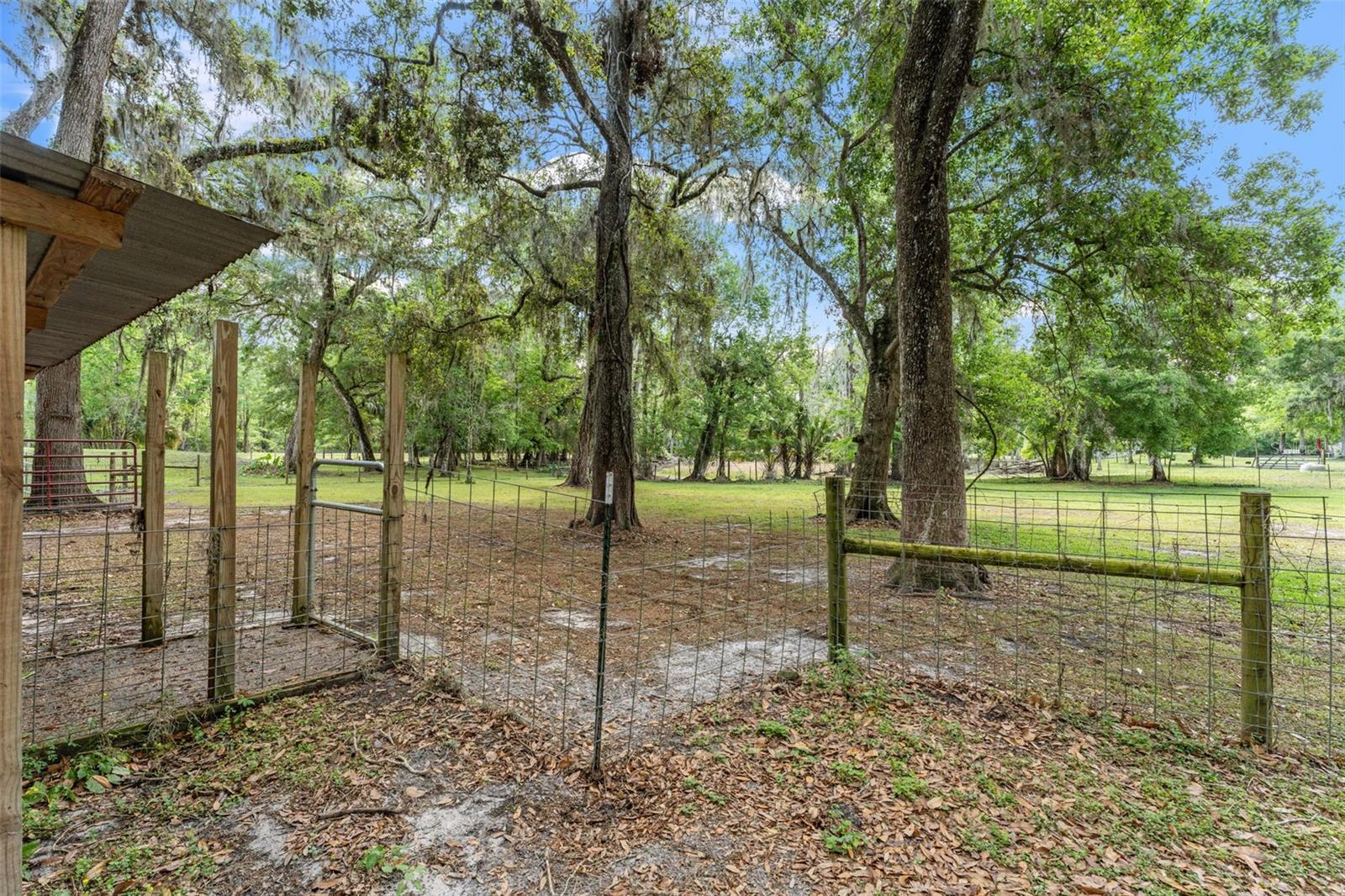 17146 BUDOWSKI RD, BROOKSVILLE, FL, 34614