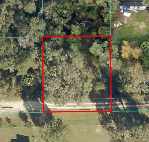 00 NE 160TH PL, CITRA, FL, 32113