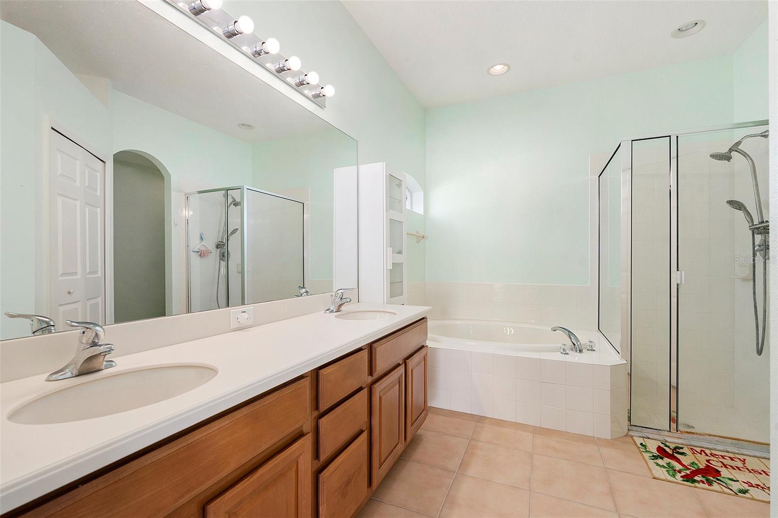 9954 N JASMINE BROOK CIR E, LAND O LAKES, FL, 34638