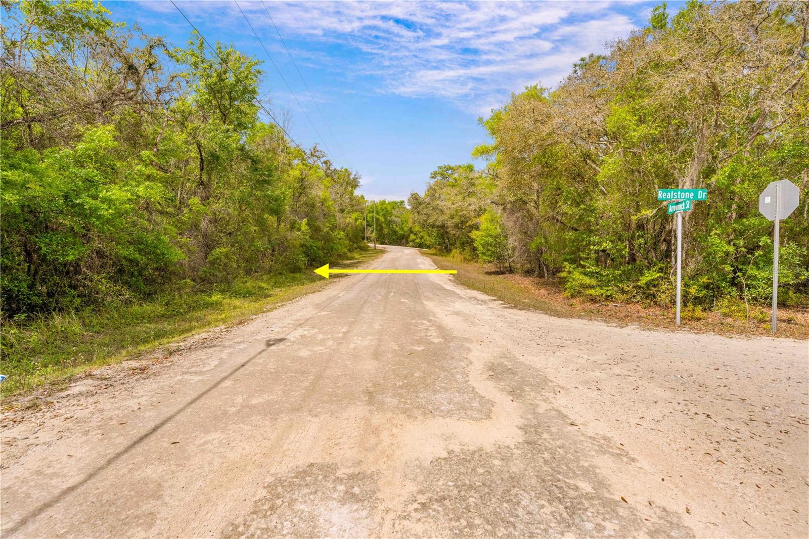 34016 ARROWROCK ST, WEBSTER, FL, 33597