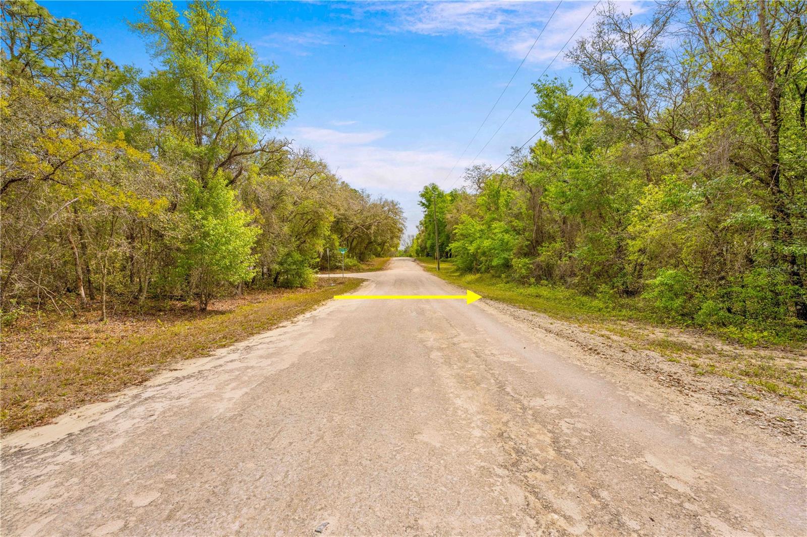 34016 ARROWROCK ST, WEBSTER, FL, 33597