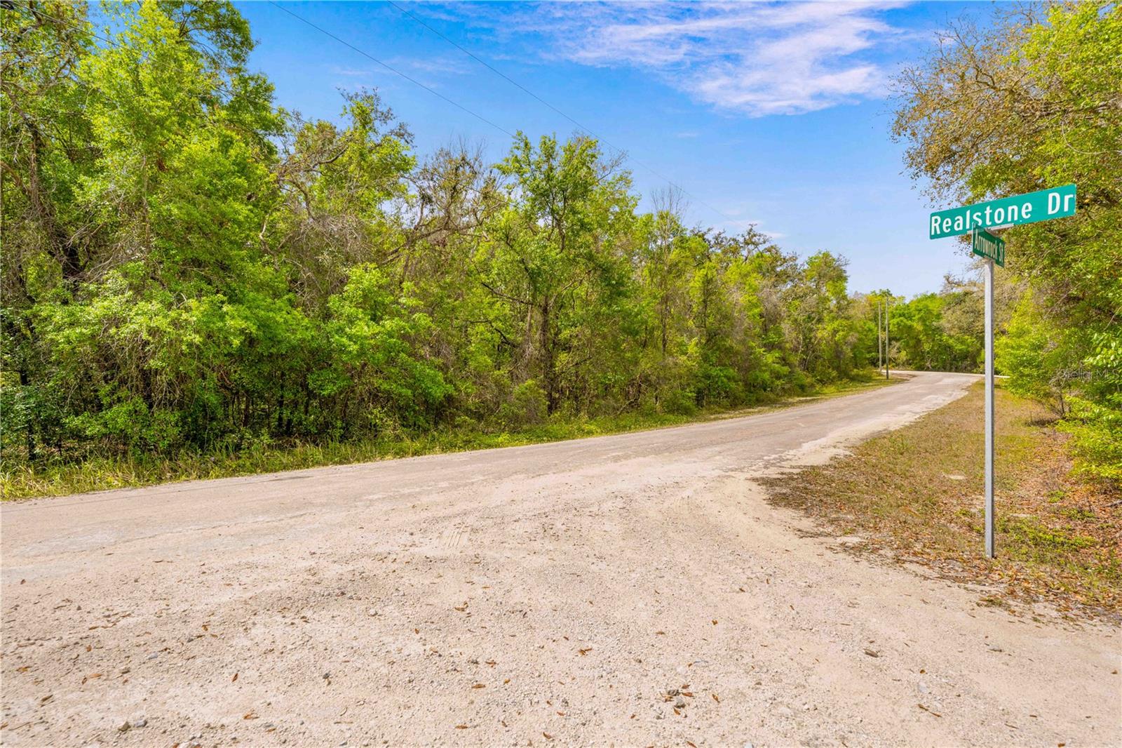 34016 ARROWROCK ST, WEBSTER, FL, 33597