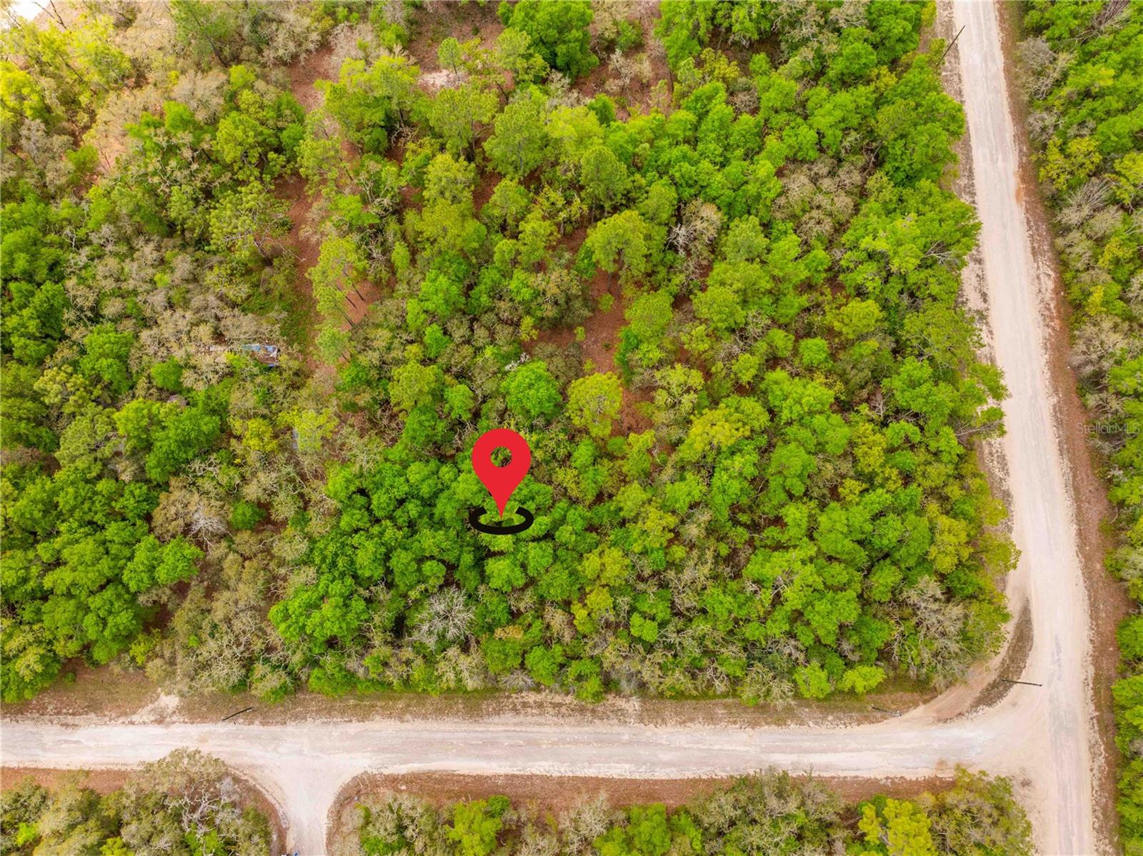 34016 ARROWROCK ST, WEBSTER, FL, 33597