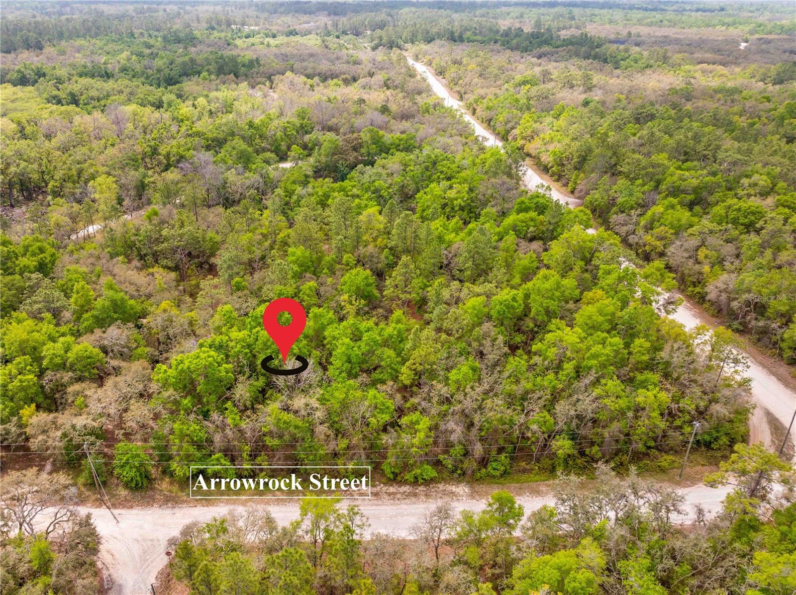 34016 ARROWROCK ST, WEBSTER, FL, 33597