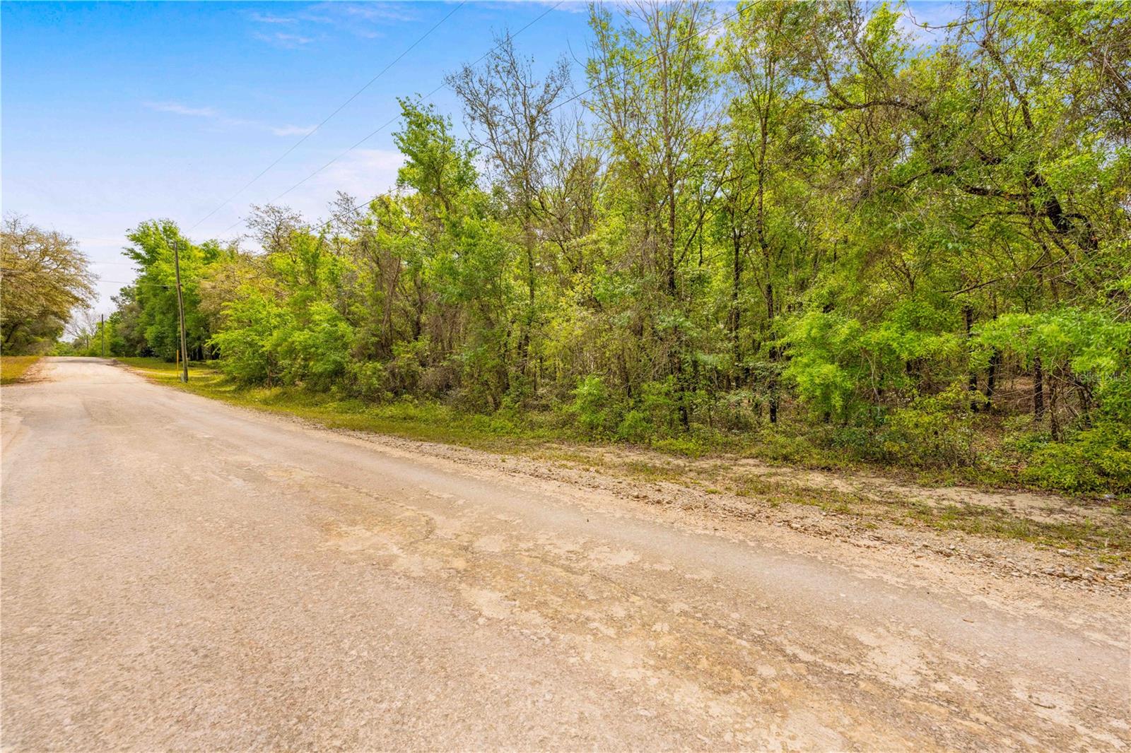 34016 ARROWROCK ST, WEBSTER, FL, 33597