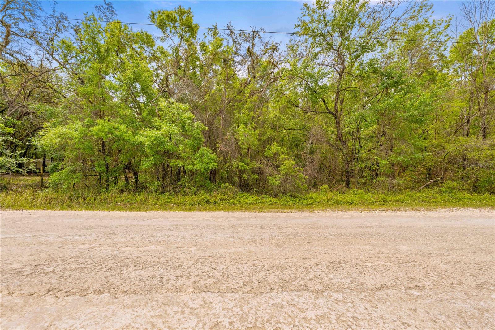 34016 ARROWROCK ST, WEBSTER, FL, 33597