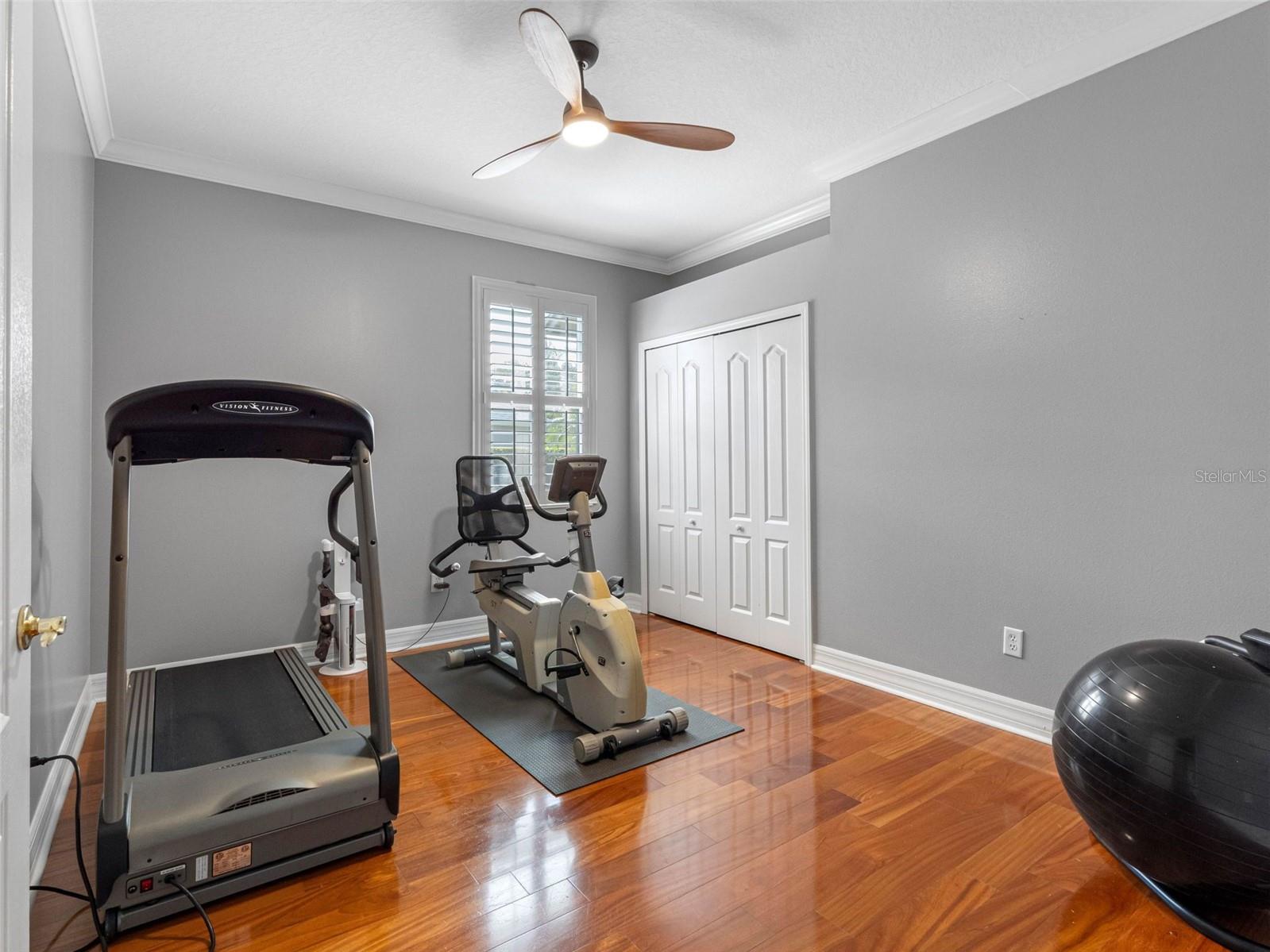 16529 IVY LAKE DR, ODESSA, FL, 33556