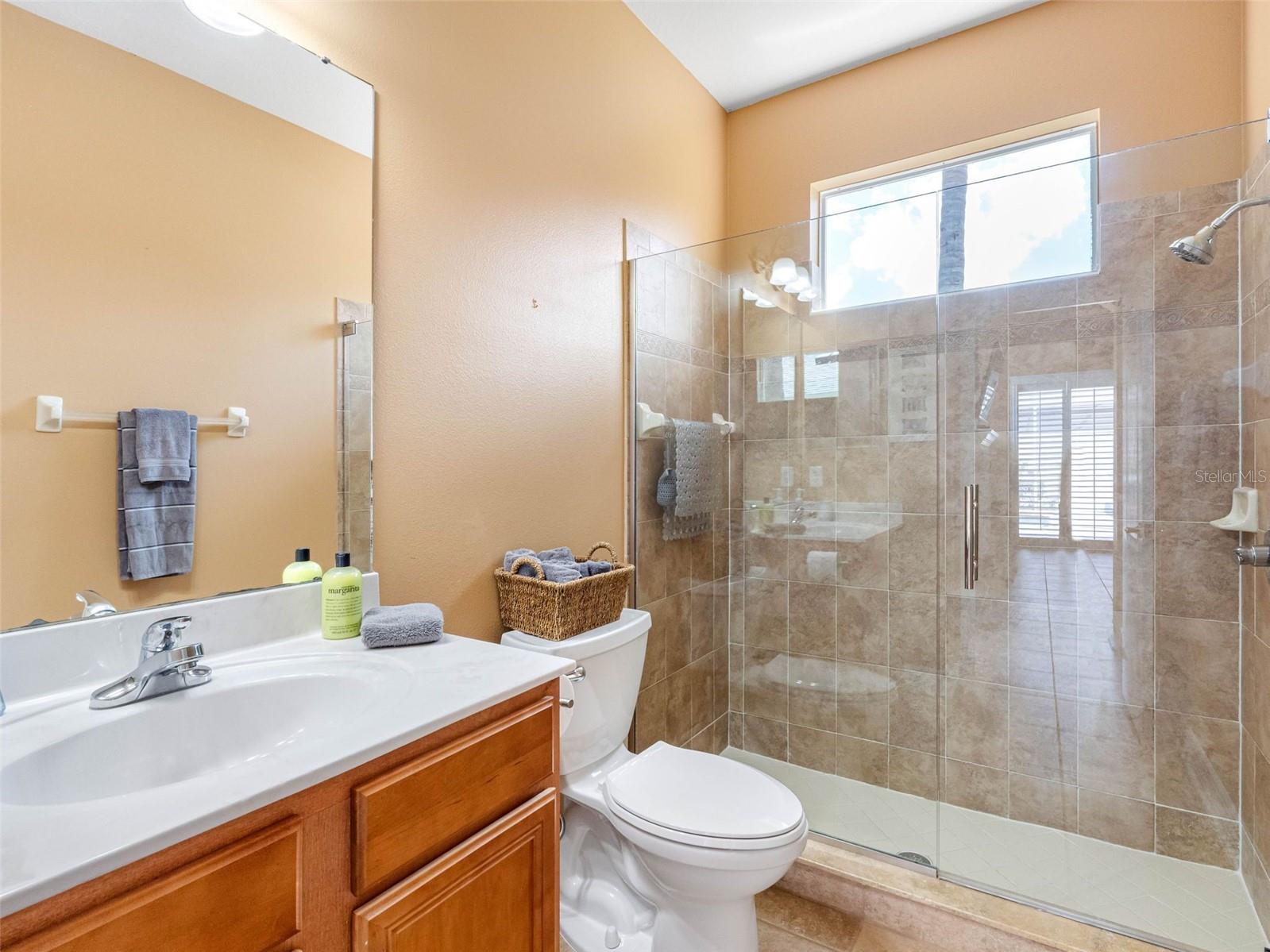 16529 IVY LAKE DR, ODESSA, FL, 33556
