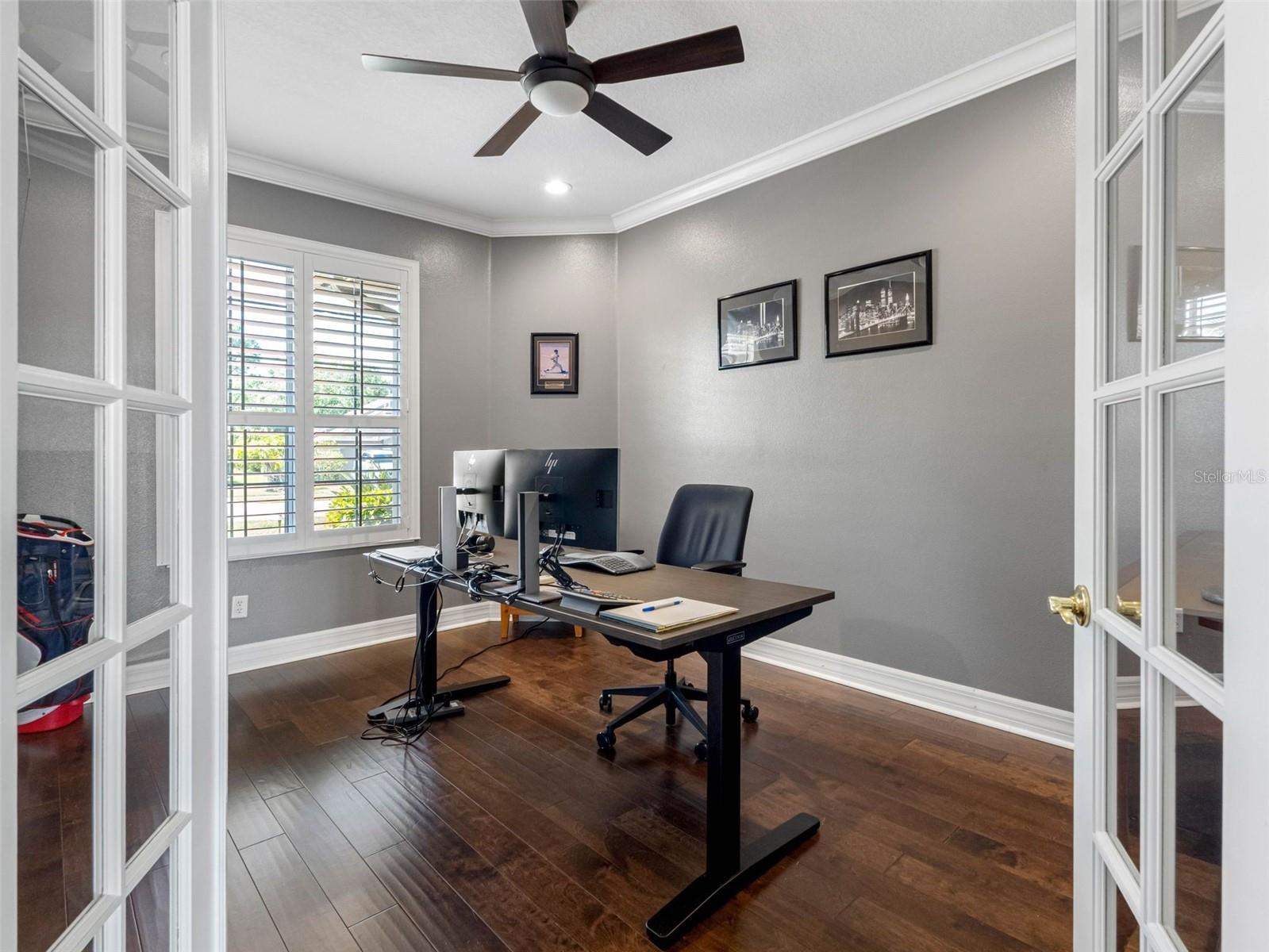 16529 IVY LAKE DR, ODESSA, FL, 33556