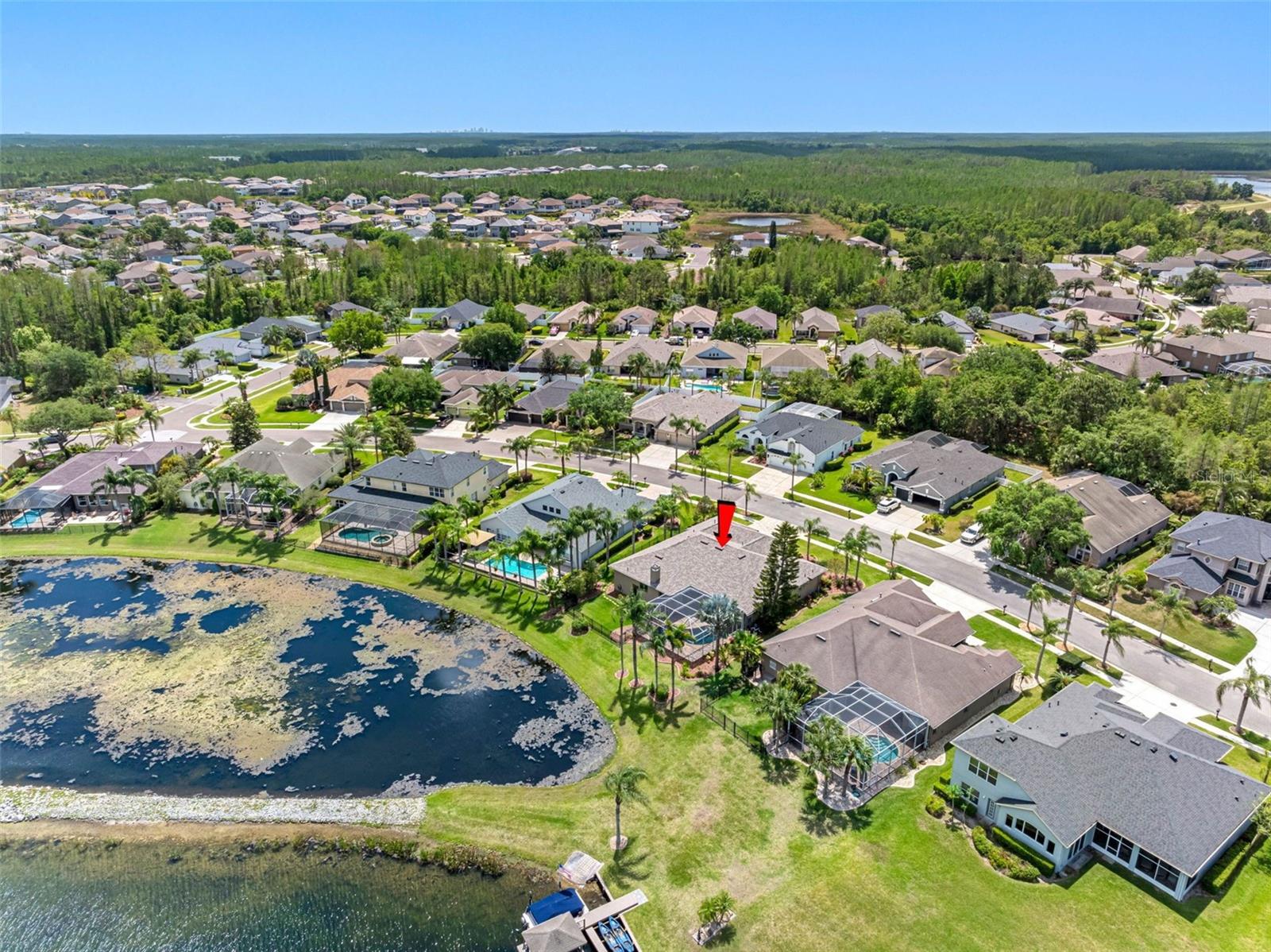 16529 IVY LAKE DR, ODESSA, FL, 33556