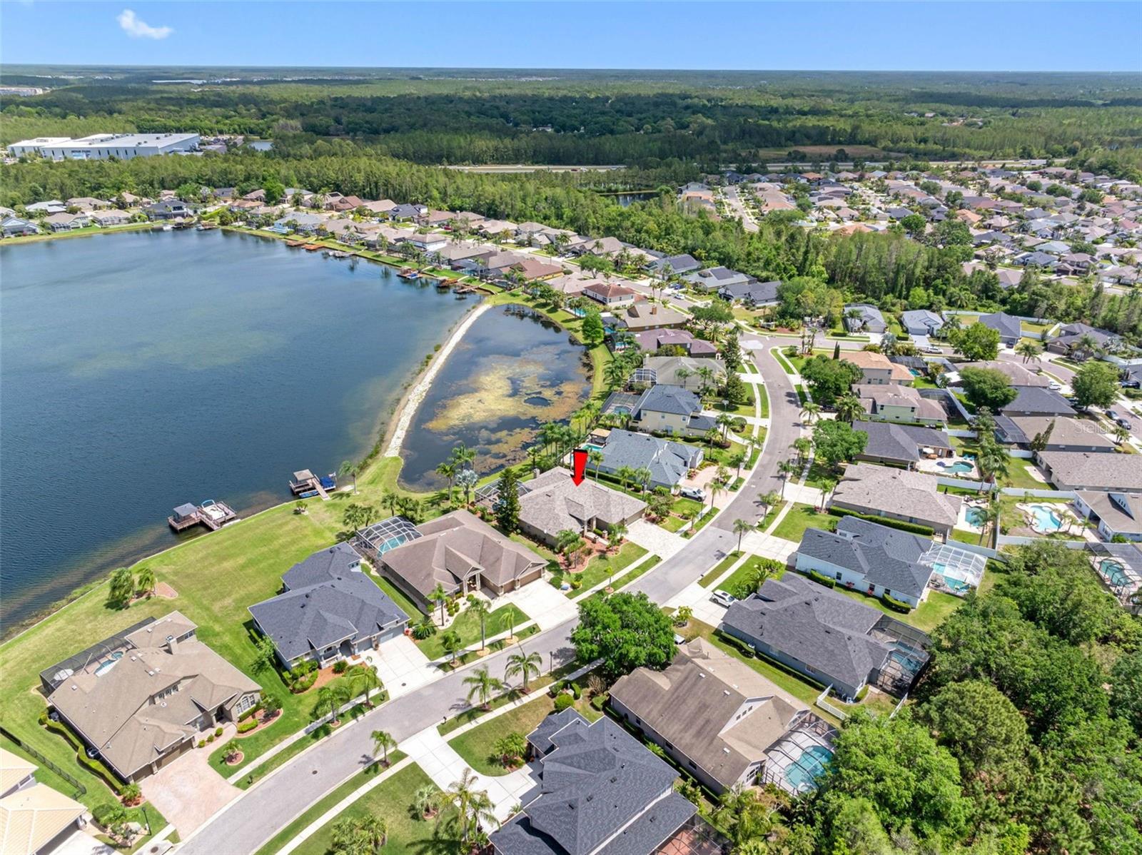 16529 IVY LAKE DR, ODESSA, FL, 33556