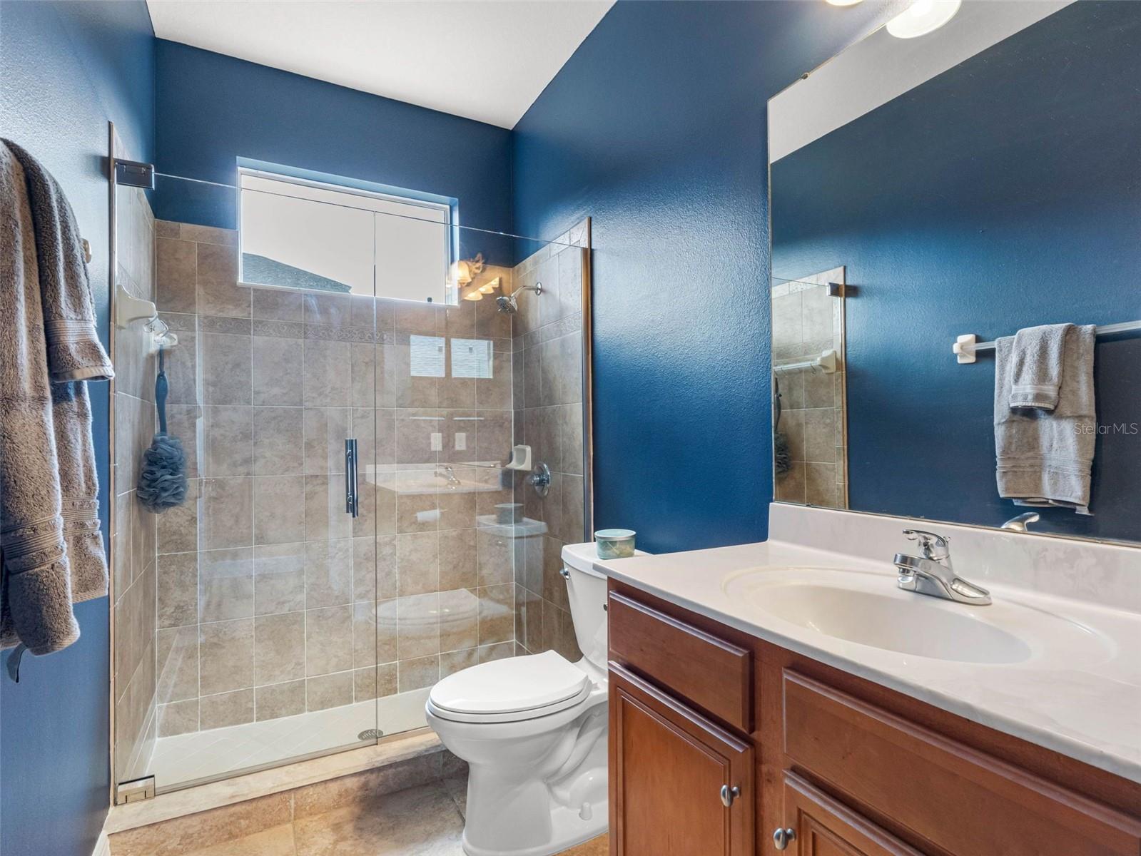 16529 IVY LAKE DR, ODESSA, FL, 33556
