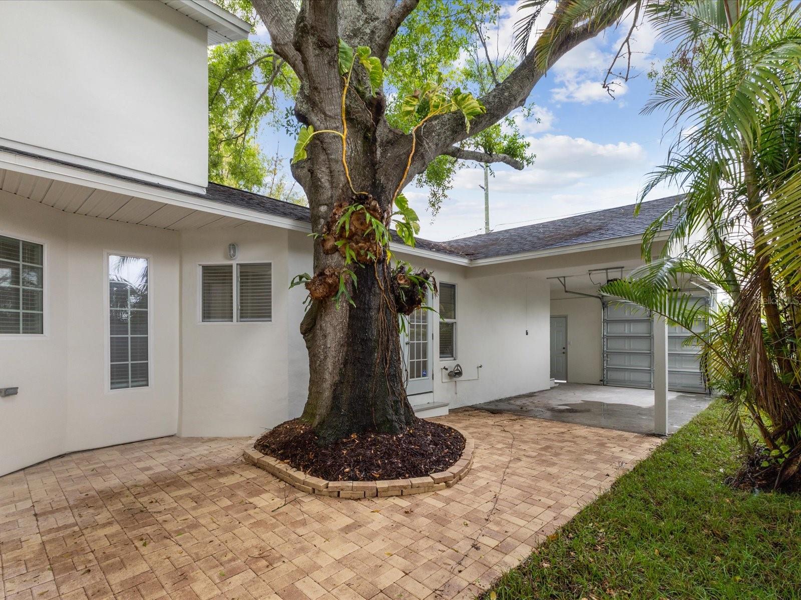 445 33RD AVE N, ST PETERSBURG, FL, 33704