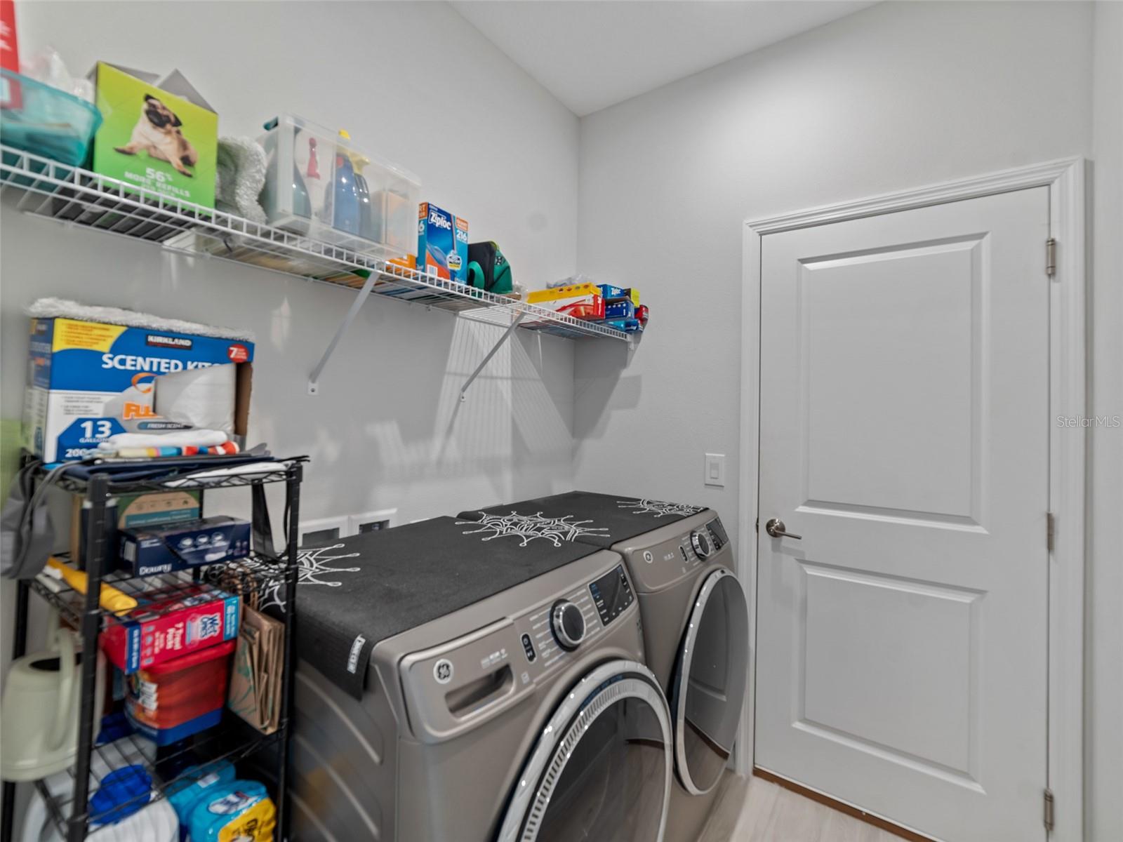 10515 TRANQUIL MEADOW LOOP, RIVERVIEW, FL, 33569