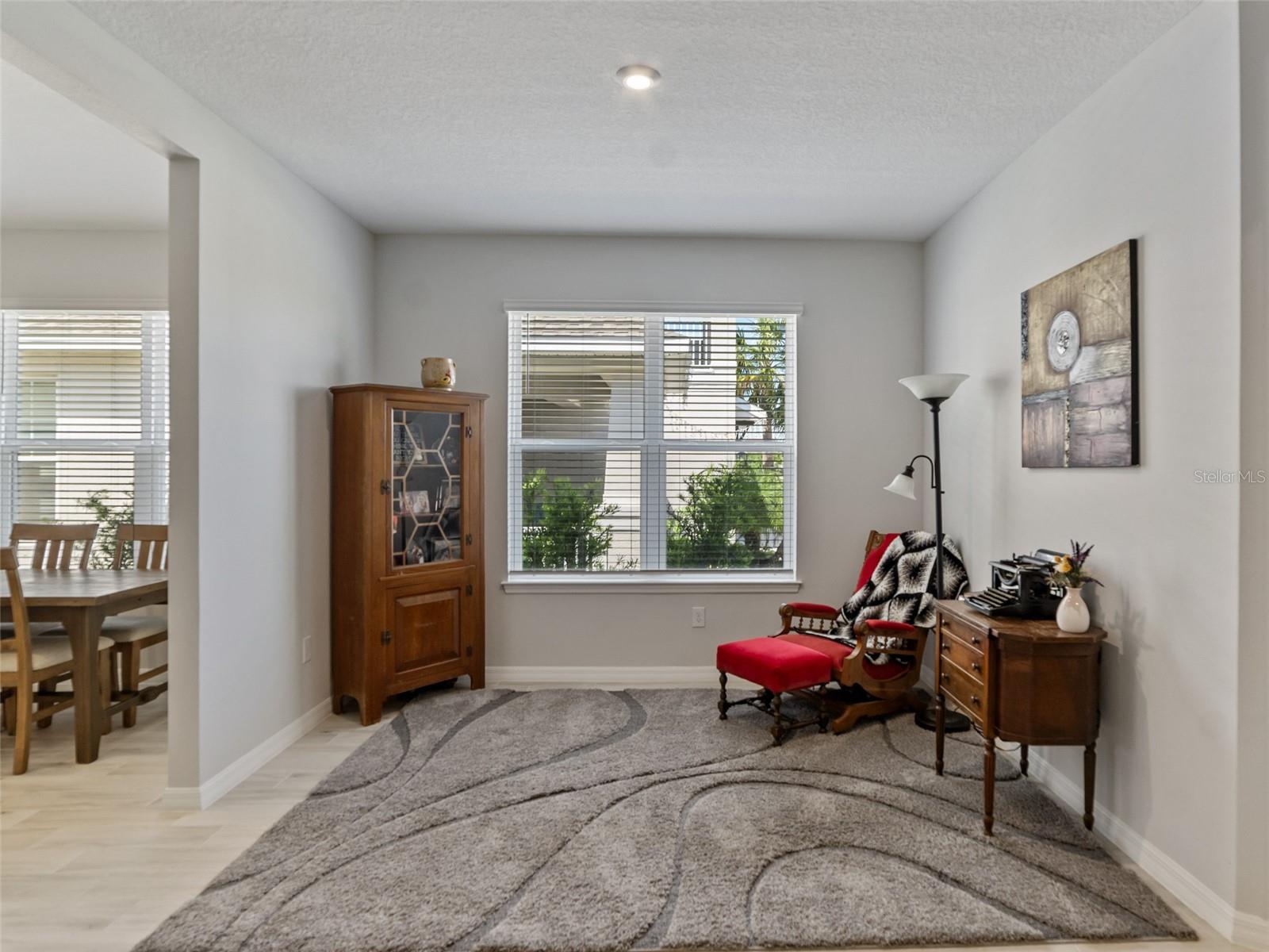 10515 TRANQUIL MEADOW LOOP, RIVERVIEW, FL, 33569